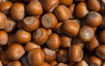 Hazelnuts, delight, Nutty admiration, perfect HD wallpaper
