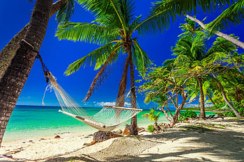 Tropical paradise, sea, palms, tropics, paradise, beautiful, relax, hammock, beach, rest, breeze, pretty, sands, sky, lovely, sun, ocean HD wallpaper