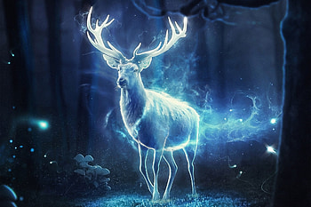 Expecto patronum, blue, night, patronum, fantasy, cerb, deer, luminos, dark HD wallpaper