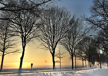 Winter Park, winter, car, clouds, trees, sky, road, sun, park HD wallpaper