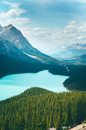 Nature, Water, Trees, Mountains, Lake, Forest HD phone wallpaper