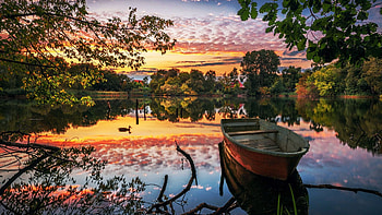 Sunset at the lake, sky, duck, boat, trees, clouds, reflections HD wallpaper