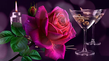 Pink Rose, Close up, Pink, Glasses, Rose HD wallpaper