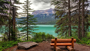 Emerald Lake, Yoho NP, British Columbia, mountains, bench, landscape, trees, clouds, sky, canada HD wallpaper