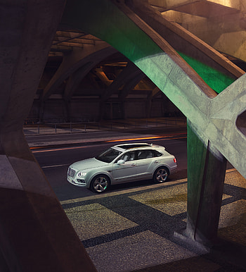 SUV, Bentley Bentayga, white HD phone wallpaper