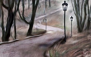 Trees, Art, Lights, Park, Lanterns, Track HD wallpaper