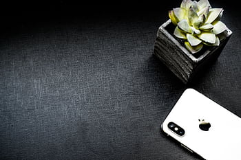 Elegant flatlay of a smart and succulent on a dark background with ample copyspace. HD wallpaper