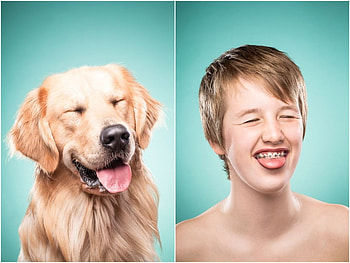 Silly face, blue, dog, animal, mood, golden retriever, copil, collage, boy, tongue, silly, child, caine HD wallpaper