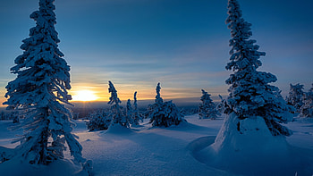 Riisitunturi National Park, Finland HD wallpaper