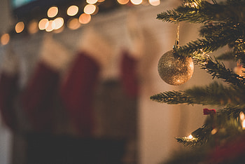 Holidays, Christmas, Branch, Christmas Tree, Christmas Tree Toy HD wallpaper