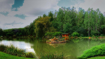 lovely little lake house, island, forest, lake, house HD wallpaper
