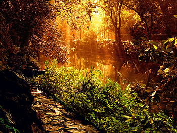 Autumn Scene , landscape, nature HD wallpaper