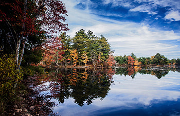 Nature, Trees, Sky, Lake, Reflection, Branches HD wallpaper