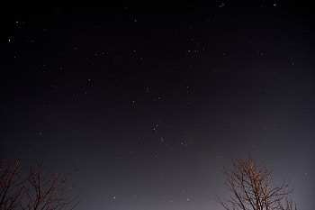 Nature, Sky, Stars, Night, Wood, Tree HD wallpaper