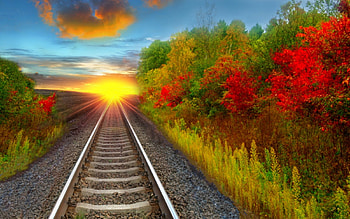 Tree, , Railroad, Fall HD wallpaper