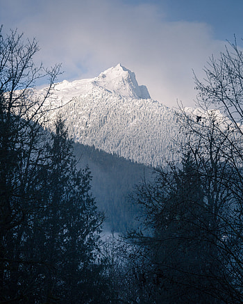 Nature, Trees, Mountain, Vertex, Top, Snow Covered, Snowbound, Slope HD phone wallpaper