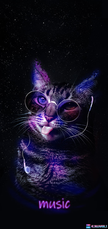Cat music lover, badboy, attitude HD phone wallpaper