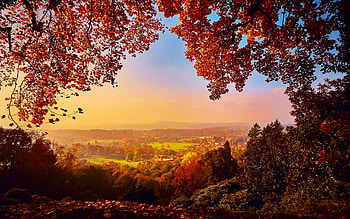 Autumn Sunset, colors, landscape, trees, leaves, fall HD wallpaper