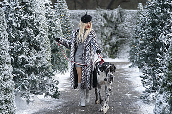 Vanessa Hudgens, winter, dog, actress HD wallpaper