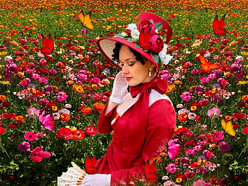 Feminine Red, colorful, white, vibrant, feminine era, girl, orange, butterflies, pink, vivid, green, yellow, red, bright, bold, flowers HD wallpaper