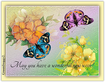 WONDERFUL WEEK, COMMENT, WEEK, CARD, WONDERFUL HD wallpaper