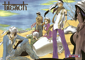 Bleach Anime, bleach, ichigo, orihime, anime, chad, kurosaki, yoruichi HD wallpaper