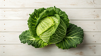 Vibrant Cabbage - Delight, cabbage, vegetable, green, food, healthy eating HD wallpaper