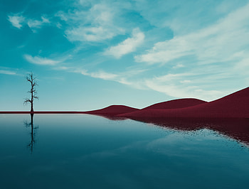 Ultra — Solitary Tree on Mirror Lake HD wallpaper