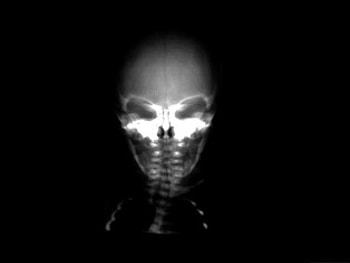 Horrific Skeleton, skull, horror, skeleton HD wallpaper