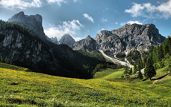 Beautiful mountains, green, trees, meadow, sky, mountains HD wallpaper