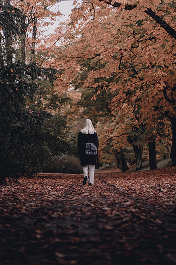 Autumn, Miscellanea, Miscellaneous, Park, Girl, Stroll, Loneliness HD phone wallpaper