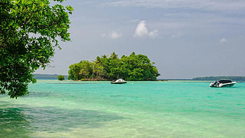 Vanuatu , Clear water year-round, Tropical paradise, Island beauty HD wallpaper