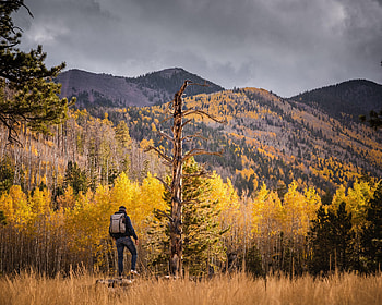 Trees, Autumn, Miscellanea, Miscellaneous, Forest, Hill, Backpack, Rucksack, Tourist HD wallpaper