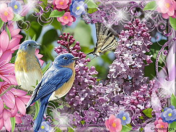 LILACS AND BIRDS, BIRDS, LILACS, FRAMED HD wallpaper
