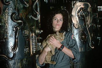 Sigourney Weaver, Ellen Ripley, Movie, Alien, Cat HD wallpaper