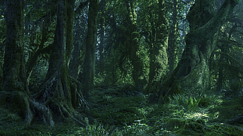 Fangorn, Movies, Artstation, Matte Painting HD wallpaper