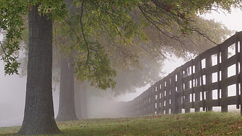 Lexington Kentucky, kentucky, lexington, kentucky field HD wallpaper