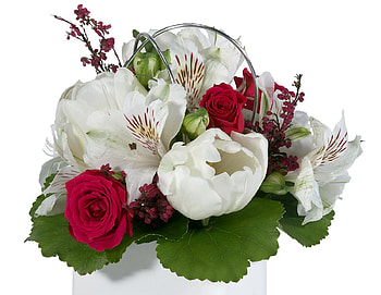 little luv, rose, flowers, arrangement HD wallpaper