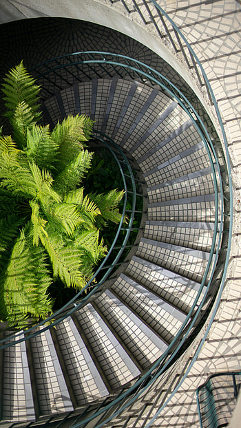 Miscellanea, Miscellaneous, Fern, Ladder, Stairs, Steps, Railings, Handrail HD phone wallpaper