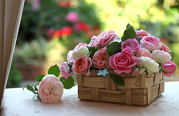 Flowers, Roses, Beauty, Buds, Basket HD wallpaper