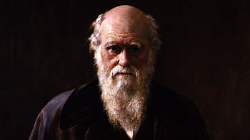 Charles Darwin, Quote, , Inspiration HD wallpaper