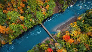 Bridge Between River , bridge, river, forest, nature HD wallpaper
