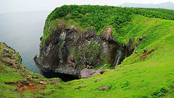 Green Cliffs, cliffs, green, trees, nature, forest HD wallpaper