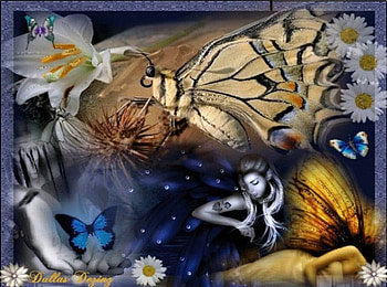 Butterfly World, butterflies, flowers, ladies, frame HD wallpaper