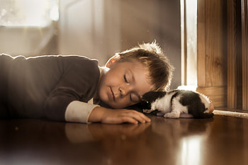 Cute Friend, animal, cat, boy, child HD wallpaper