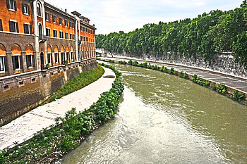 Fiume Tevere, river, buildings, green, graph, orange HD wallpaper