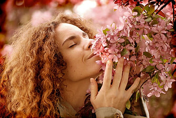 for you monarch, pretty, gorgeous, plus, beautiful, flowers HD wallpaper