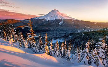 Winter at Mount Rainier, winter, hills, snow, slope, trees, beautiful, forest, mountain, peak HD wallpaper