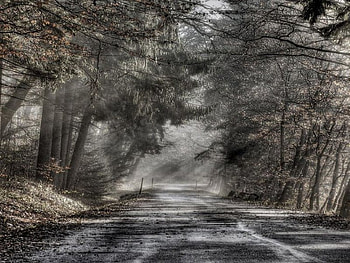 Country lane, country, lane HD wallpaper