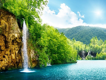 Waterfall, nature, forest, tree HD wallpaper